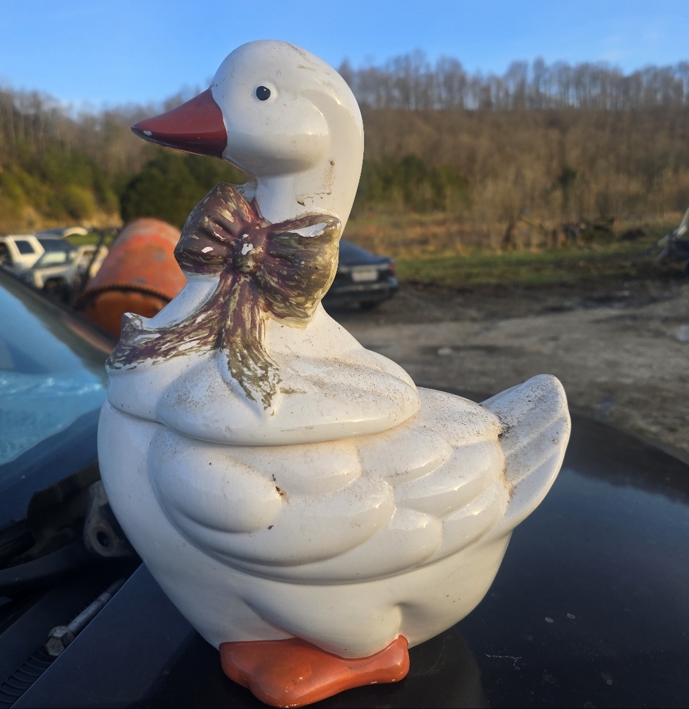 Decorative Vintsge  White Duck Ceramic Canister with Bow Accent Used